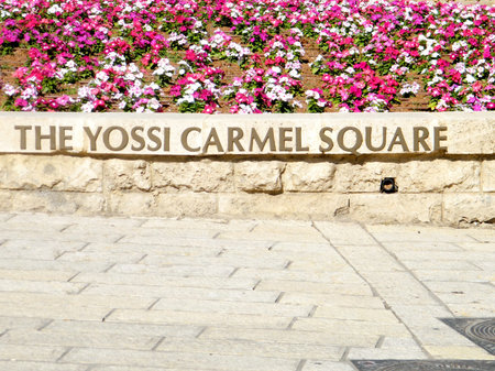 View of Carmel Square from Yefet street in old city Jaffa, Israelの写真素材
