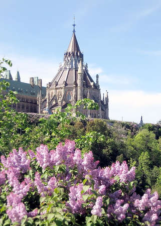 Lilac on a background of Library of Parliament May spring in Ottawa, Canadaのeditorial素材