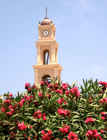 Flowers and Bell Tower of St. Peter's Church in old city Jaffa, Israel