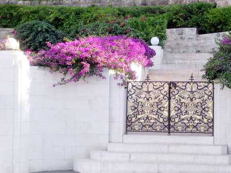 Flowers and gate in Bahai Gardens in Haifa, June 28, 2004の写真素材