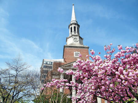 Sakura in front of  church in spring in Washington, USA, April 5, 2010の写真素材
