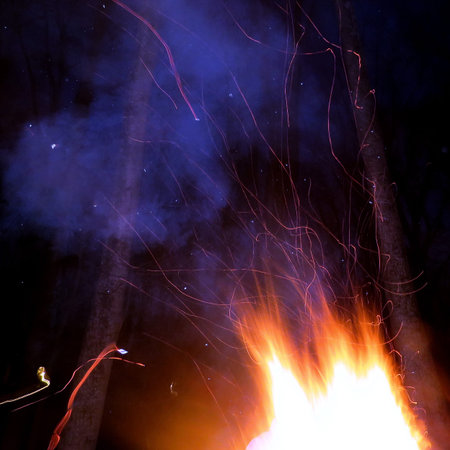Bonfire with sparks in a forest of Mclean, USA, March 24, 2017