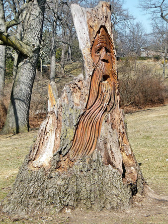 Old man tree carving in High Park of Toronto, Canada, March 17, 2010