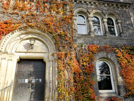 Windows of Gerstein Science Information Centre at the University of Toronto, in Toronto, Canada,  November 18, 2016のeditorial素材