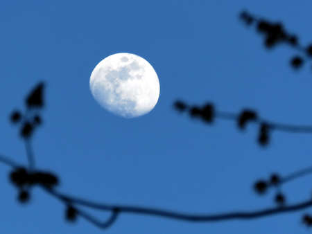 The Waxing gibbous moon  in Thornhill, Canada, April 7, 2017のeditorial素材