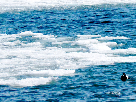 Ice and water on a shore of the Lake Ontario in Toronto, Canada, March 9, 2015 