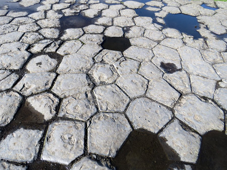 Basalt columns at Kirkjugolf  in Kirkjubaejarklaustur in Iceland, July 6, 2017