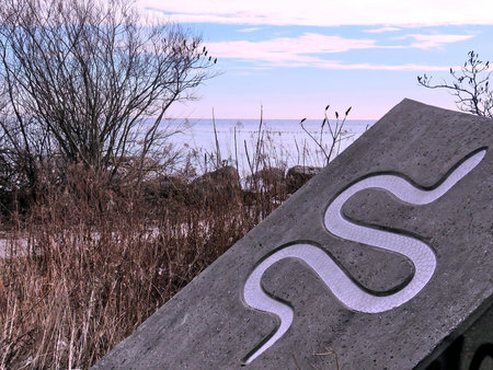 Image of snake on a shore of the Lake Ontario in Toronto, Canada, January 25, 2018