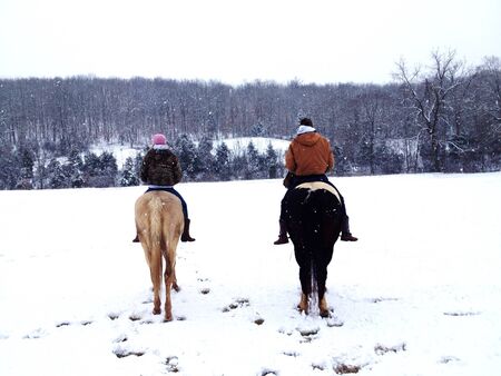 Horse Riding in the snowの素材