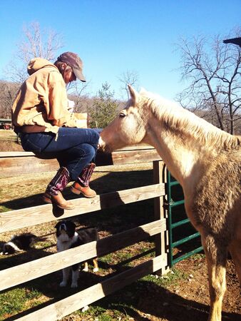 Girl feeding horse at the fenceの素材