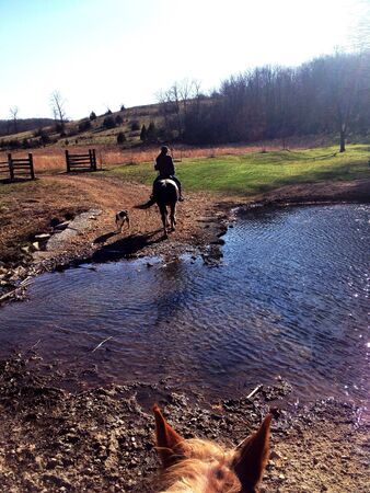 Horses and creeksの素材