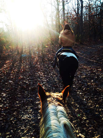 Riding into the sun の素材