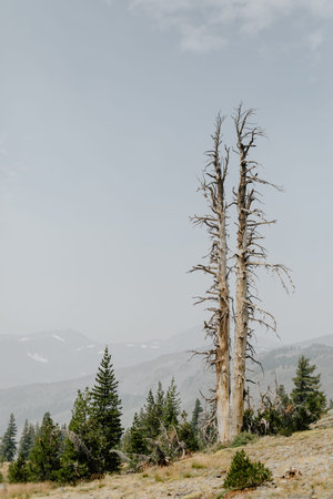 View along the Mount Tallac trail in Lake Tahoe, California