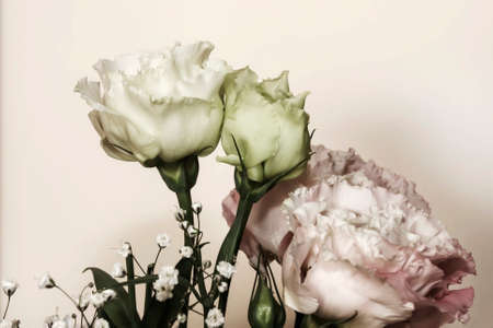 Beautiful white roses bouquetの写真素材