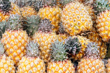 Pile of ripe Pineapplesの写真素材