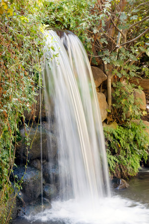 A waterfall among green foliage
