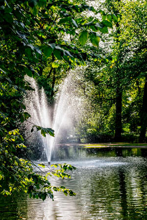 Fountain in the city park on a summer dayの写真素材