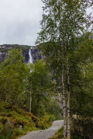 Forest path between birch trees with a mountain waterfallの写真素材