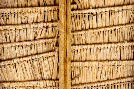 abstract textured background of wicker palm leavesの写真素材