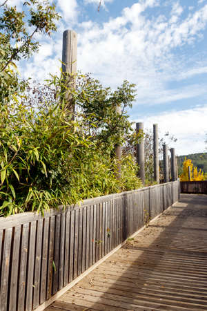 Wooden walking bridge with trees on the sidesの写真素材