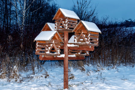 Wooden feeders for birds and small animalsの写真素材