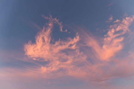 Pink clouds in the blue sky in the rays of the setting sunの写真素材