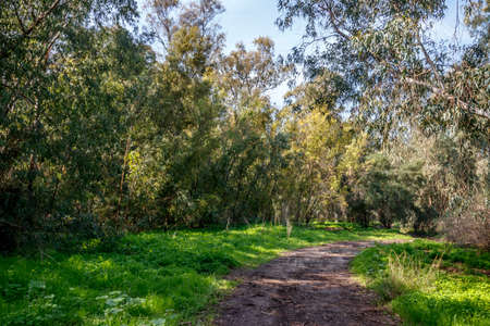 Landscape with a rustic clay road blurred after the rainの写真素材