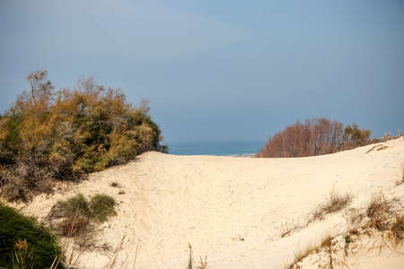 View of the sea through a sand duneの写真素材
