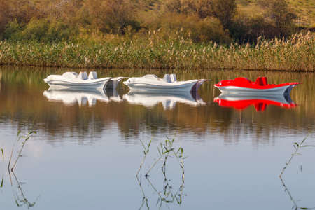Reflection in the water of reeds and white and red catamaransの写真素材