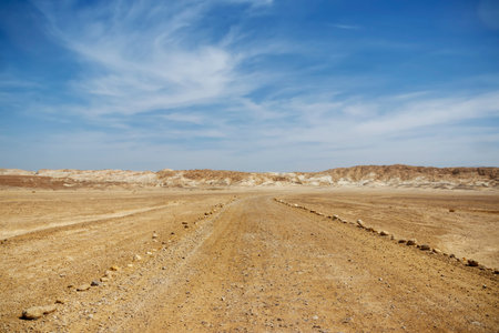 A country road in the desert of Yehuda fenced with large stonesの写真素材