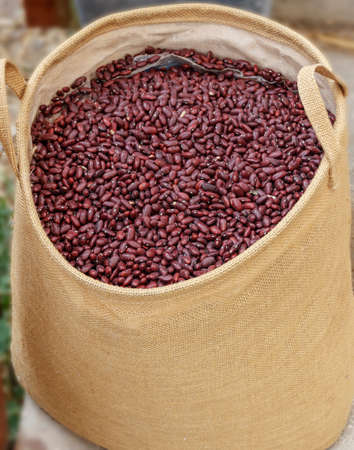 Large bag of sackcloth filled with red beansの写真素材