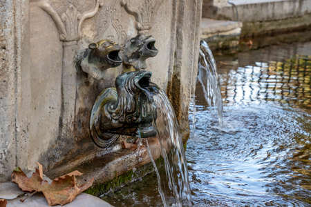 Fountain. Water flowing from the mouth of mythical animals.の写真素材