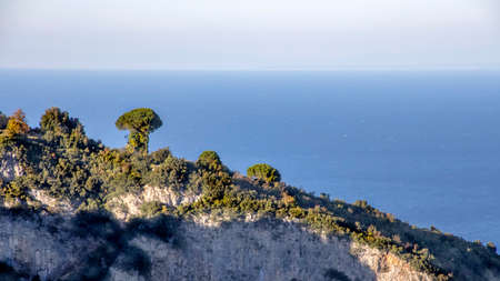 Side view of the sea and the hill covered with trees. Greeceの写真素材