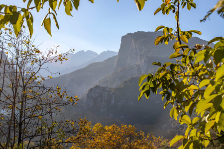 View of Mount Olympus in the fog in a frame of tree leaves. Litochoro Greece