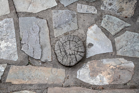 A round saw cut down of a tree between the laying of stones of various shapes. Greece