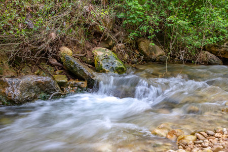 River flowing between stones and trees in green foliage. Landscapeの写真素材