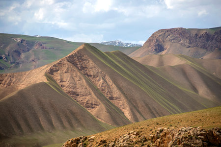 Hills covered with young grass against the sky and snow-capped mountain peaks. Travel. Kyrgyzstan.の写真素材