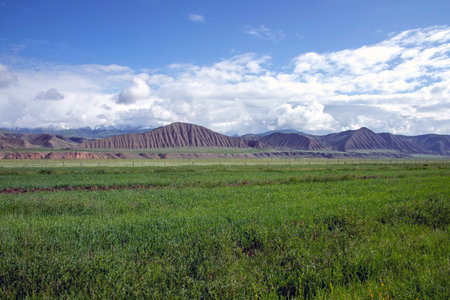 Green fields with mountain ranges on the horizon against the sky with clouds.の写真素材