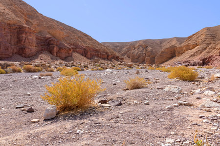 View of the colorful mountains and valley of Eilat Red Canyon against the blue sky. Israel