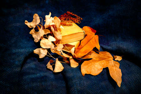 Still life of yellow dry autumn leaves lying on books close-up on burlapの写真素材