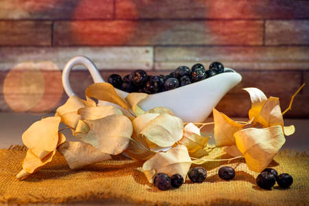 lueberry berries in a white ceramic cup with dry autumn leaves in the foreground. Bokeh effectの写真素材