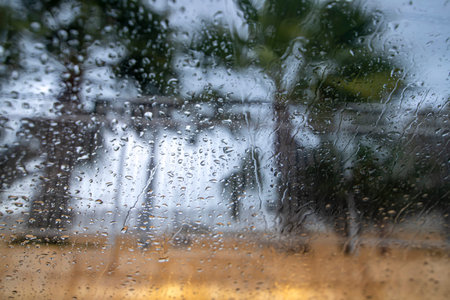Palm trees in the wind through the glass with raindrops close upの写真素材