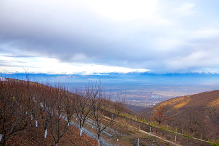 View of the autumn orchards of Alazani Valley against the backdrop of snowy mountain peaks at sunset