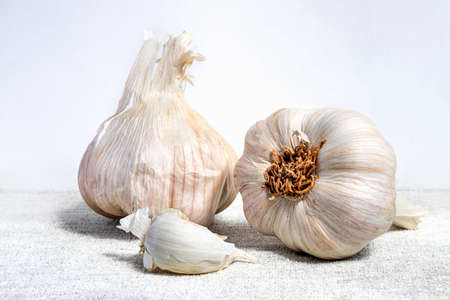 Garlic heads and a clove of garlic on a napkin. Food background close upの写真素材