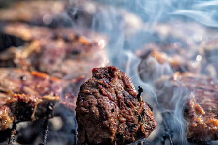 Meat on skewers grilled over an open fire with smoke close up. Barbecueの写真素材