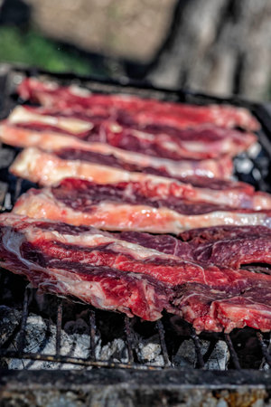 Chunks of fresh meat ready for barbecue close upの写真素材