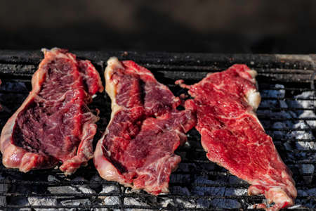 Chunks of fresh meat ready for barbecue close upの写真素材