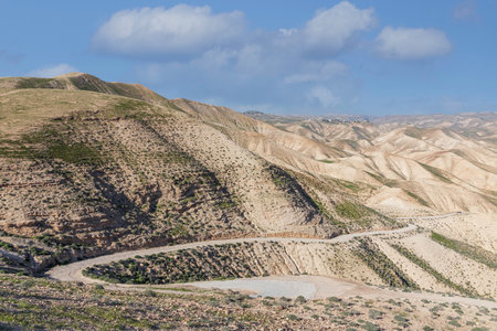The road on the slope of the sandy mountain of the Judean Desert covered with spring vegetation. Israelの写真素材