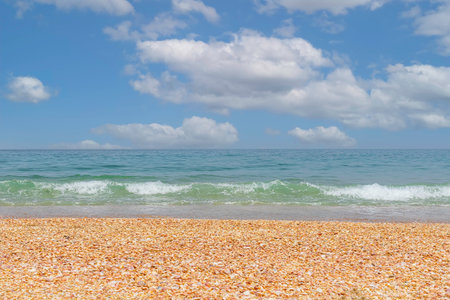 View of the Mediterranean coast covered with seashells. Sea waves with foam