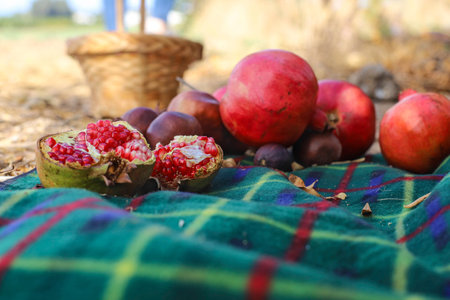 Ripe whole and opened pomegranates with seeds close-up and an empty basket lying on the carpet....